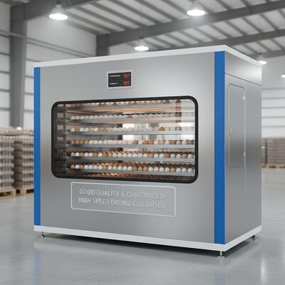 Máy sấy trứng sấy tốc độ cao được sản xuất theo yêu cầu và chất lượng tốt